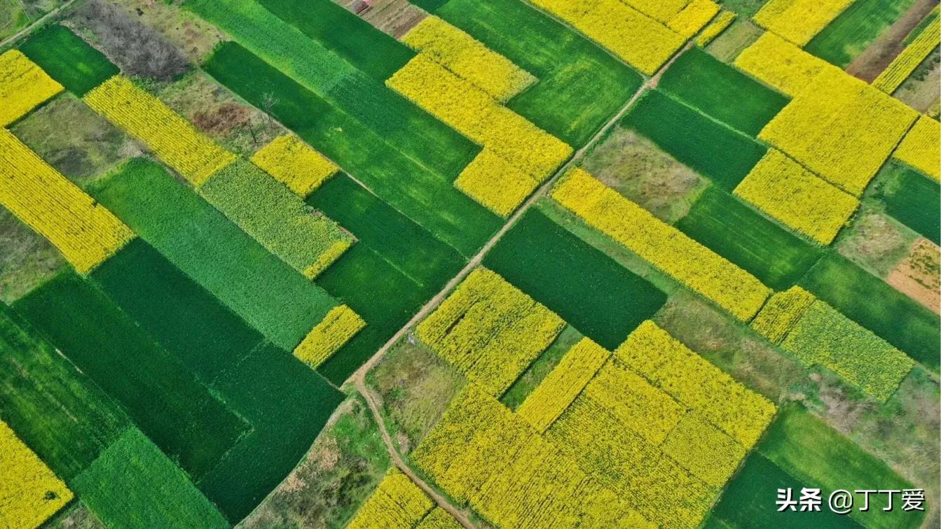 做知识付费前途,学桥梁有前途吗