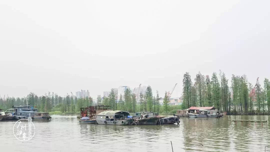 广州隐世峡谷游玩攻略,广州要坐船才能登的小岛