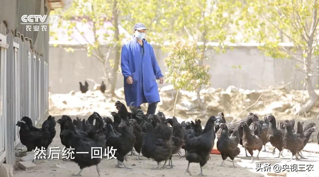 他放弃高薪回村干这一行，旁人不理解，如今大获成功