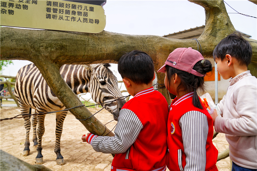 我和宿州有个约会，一场花事，一次慢旅行，探寻最烟火的宿州味道