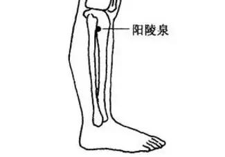 老寒腿症状年轻人怎么预防,预防膝盖老寒腿的方法