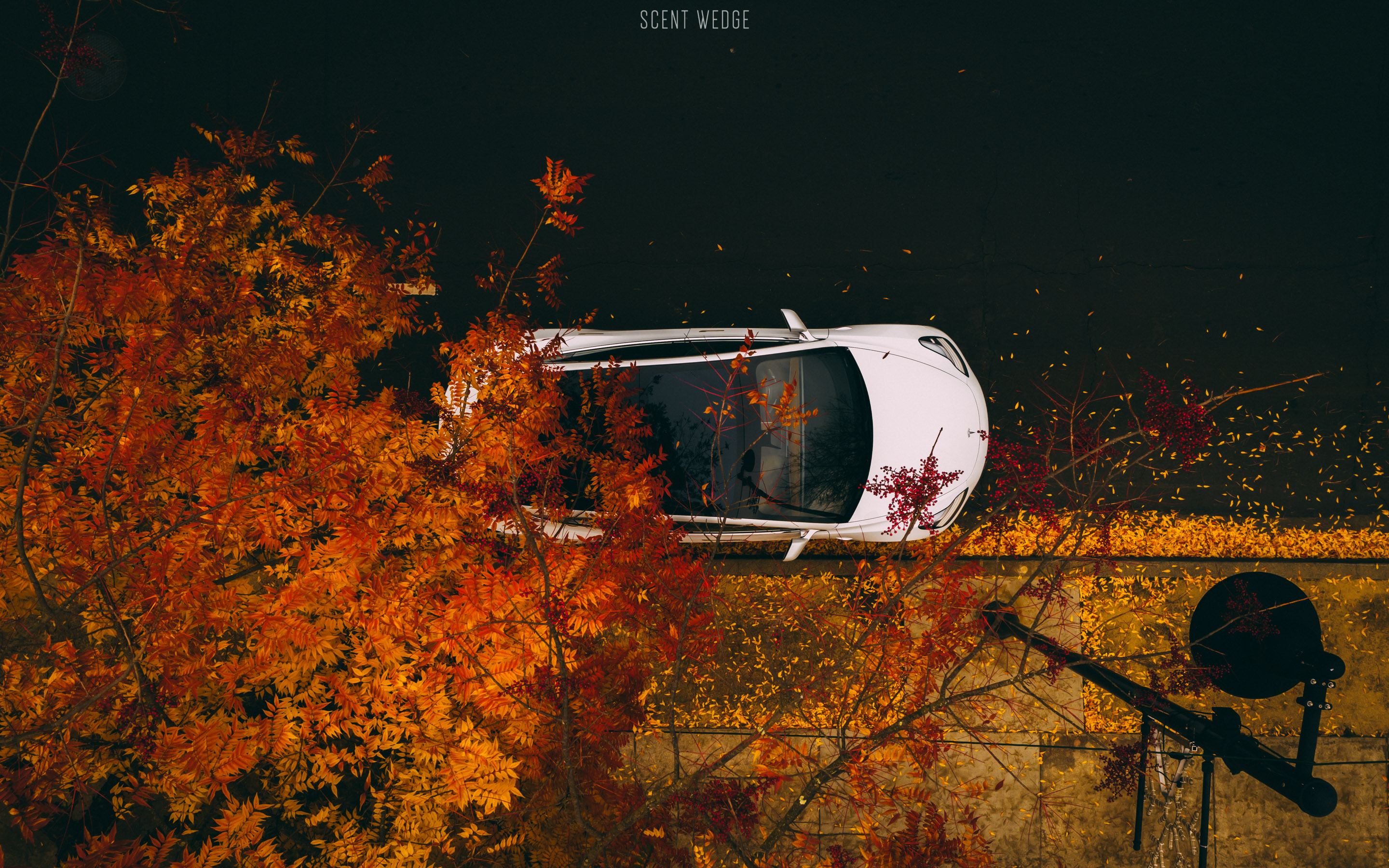 极氪001和特斯拉model3怎么选择,极氪001与特斯拉model3对比图片