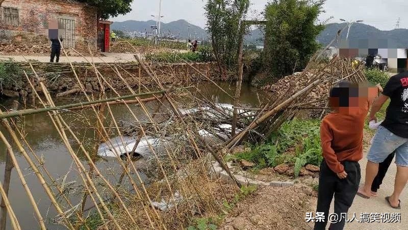 老司机开车躲避行人冲入池塘,老司机开5系