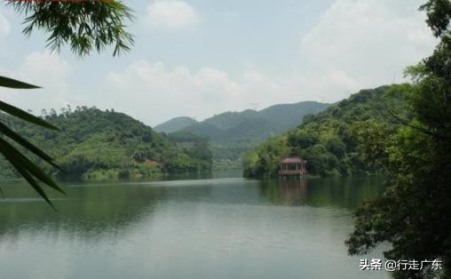 广州白云山是广州最高的山吗,大夫山白云山哪个风景更好