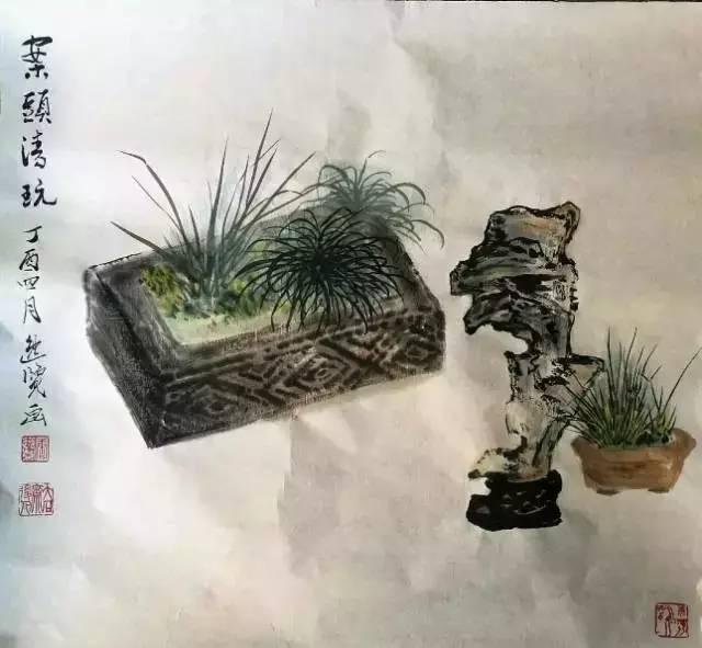 菖蒲水草需要多少k的灯,菖蒲水草泥