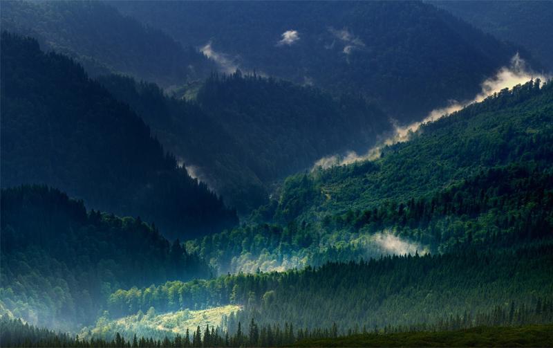 销售初期该如何选择行业,销售选错行业