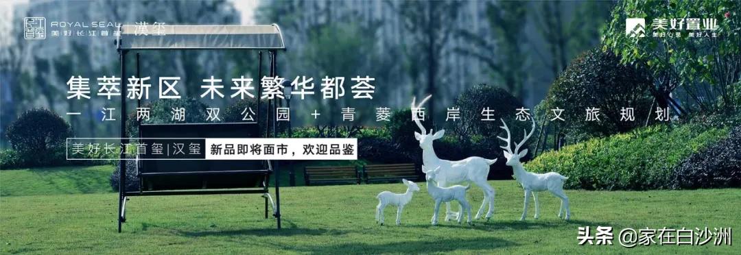 白沙洲最近什么楼盘交房,白沙洲停工楼盘