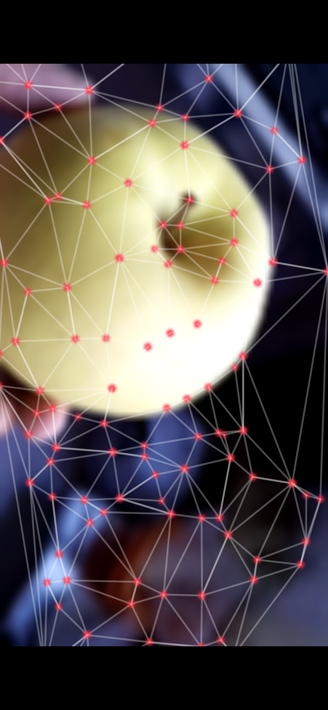 荣耀magic2翻译功能在哪里,荣耀magic2有哪些特色功能