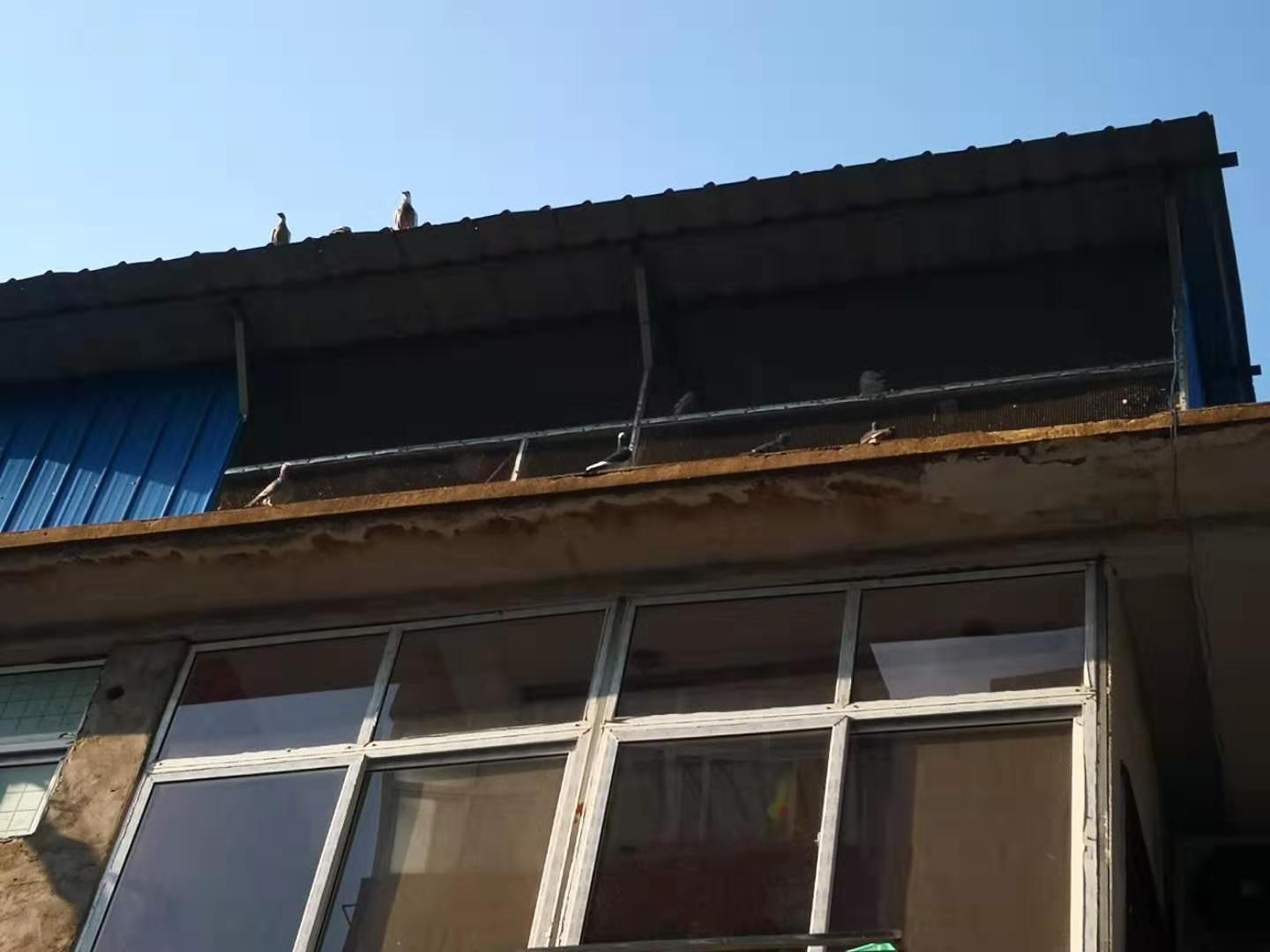 邳州影视传媒有限公司,邳州的影视公司