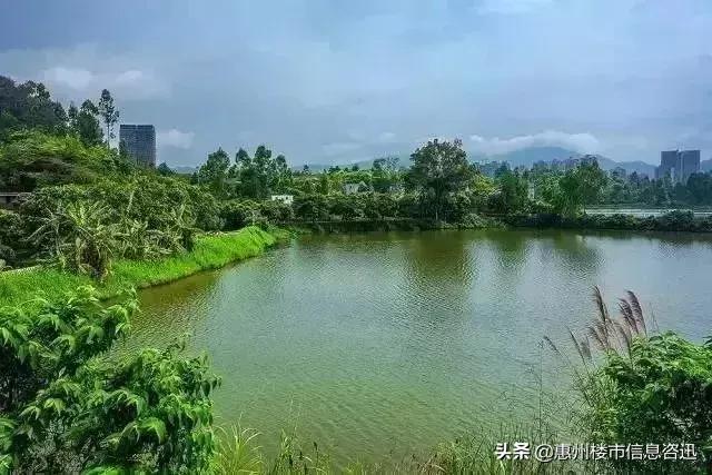 大亚湾怎么样了,你以为的大亚湾vs真正的大亚湾