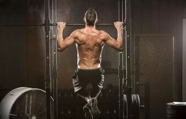 适合大体重的核心训练动作,基训腿部练习动作