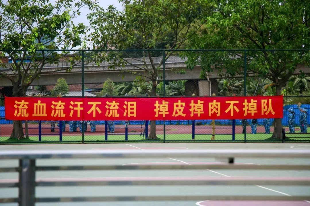 广东南华工商职业学院2024招生,2019年广东南华工商职业学院