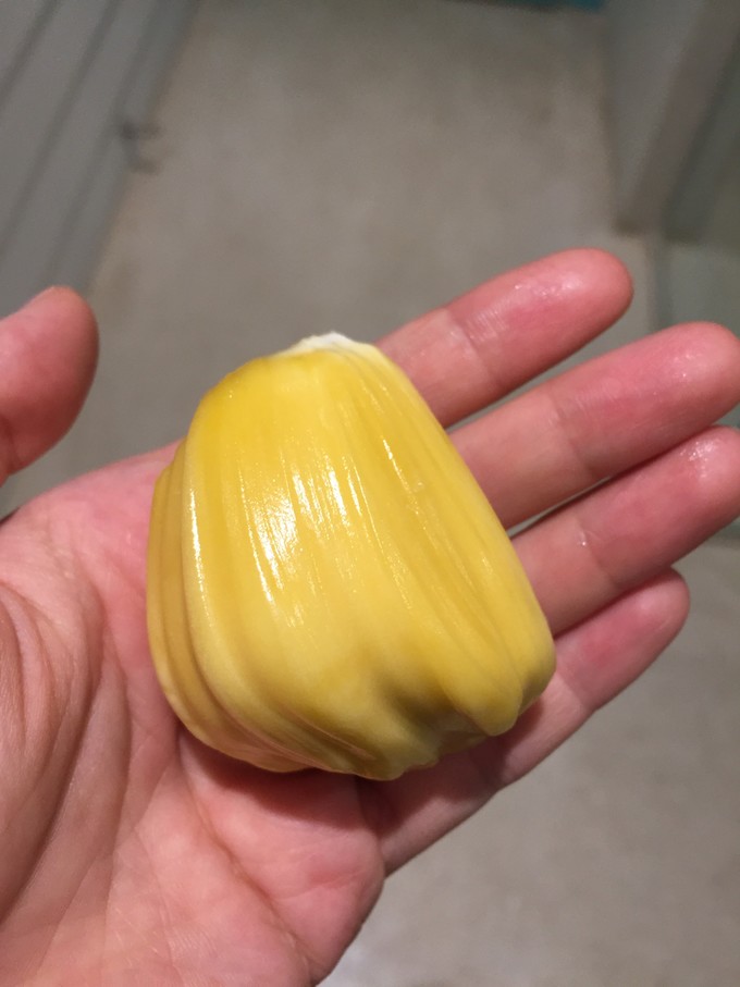 南宁至西双版纳旅游吃住行攻略,云南西双版纳旅游景点攻略自由行