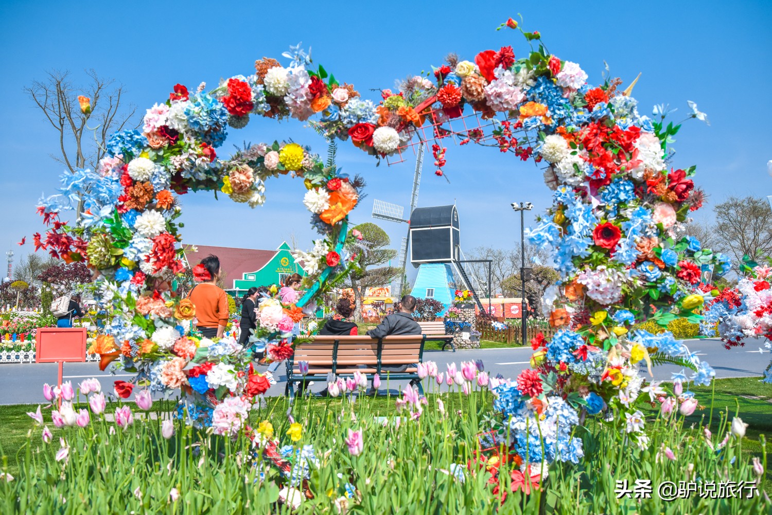 郁金香中国,中国郁金香第一花海