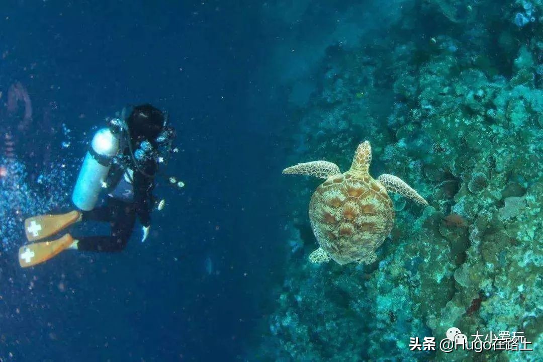 亲子海岛旅行攻略,7月最适合亲子游的海岛