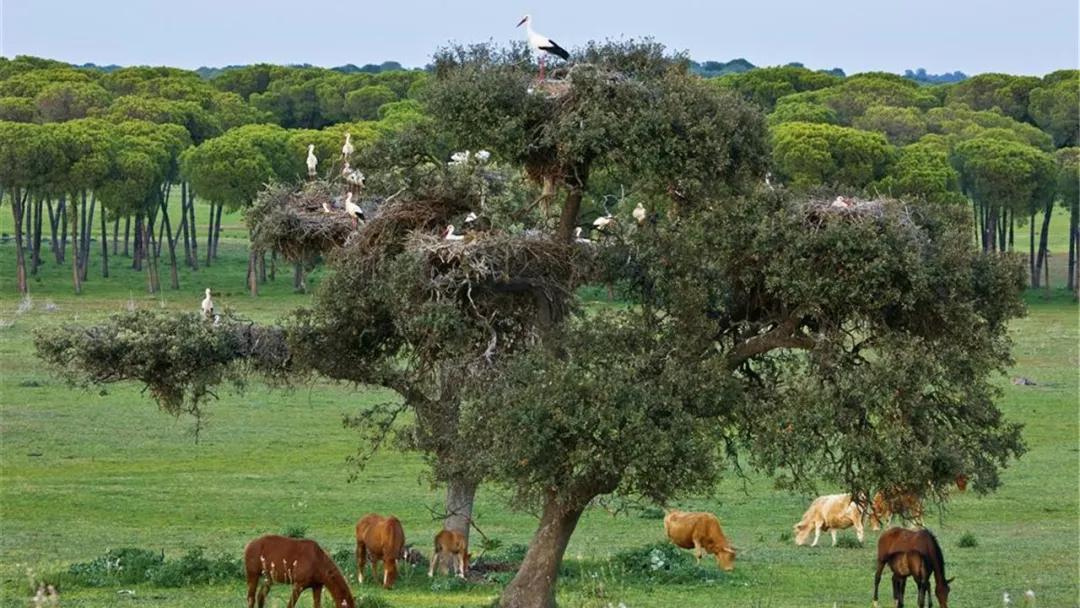 去西班牙感受,到西班牙的感受