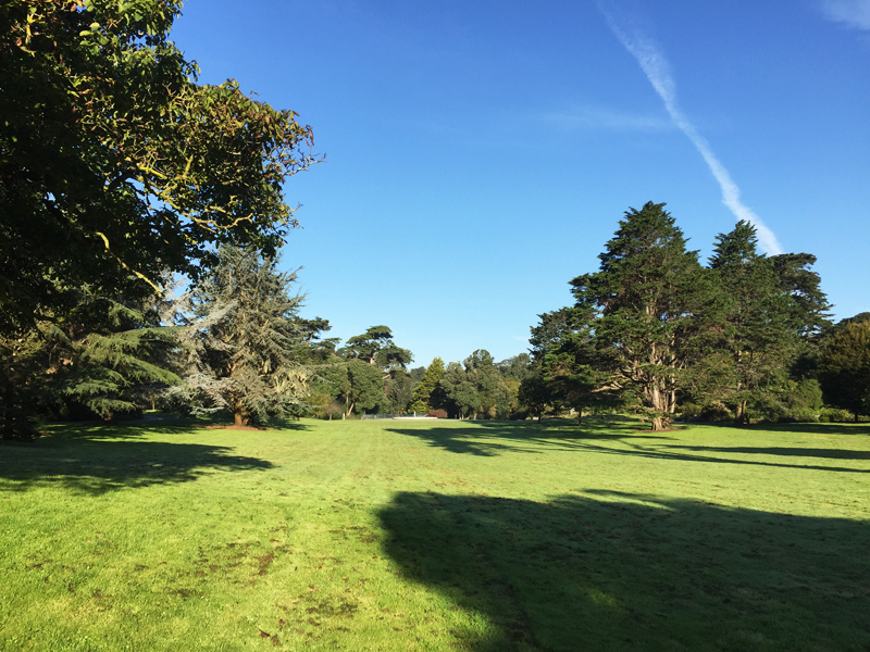 美国旧金山市规划,美国旧金山公园