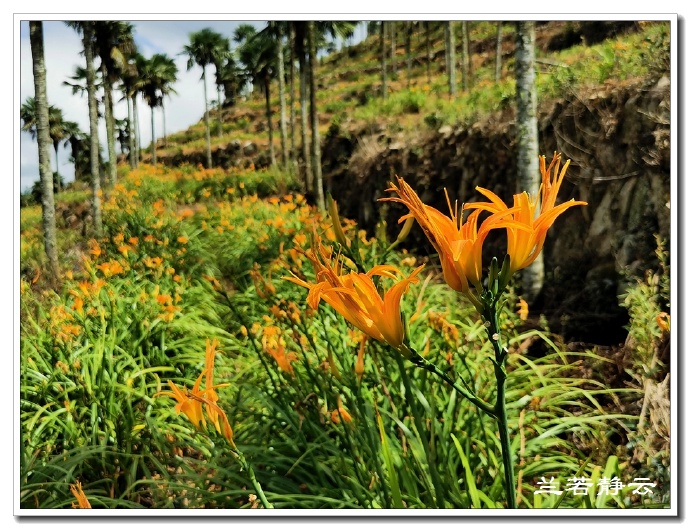 福建永泰云顶山风景图片,福州永泰云顶风景如画成避暑胜地