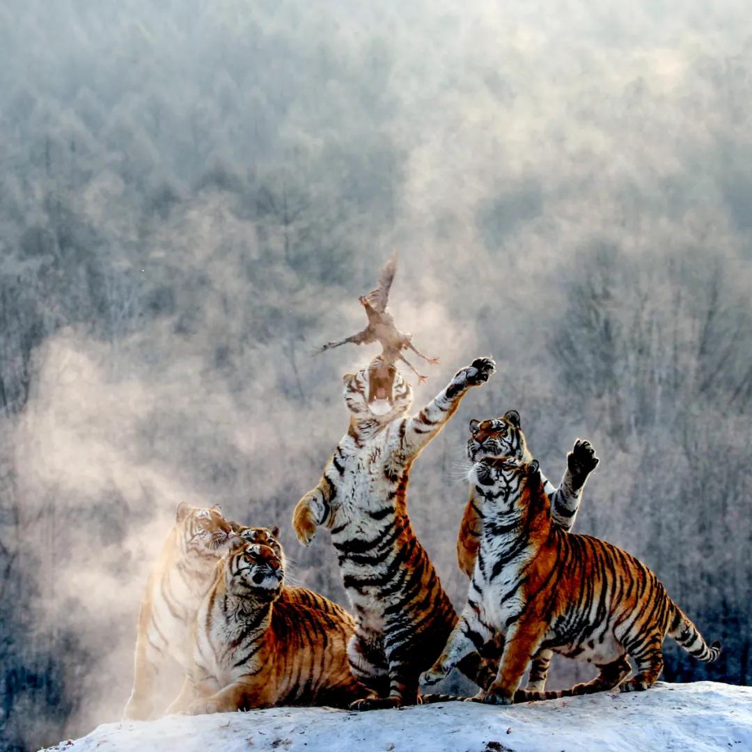 东北地名怎么跟闹着玩一样,东北地名究竟有多好玩