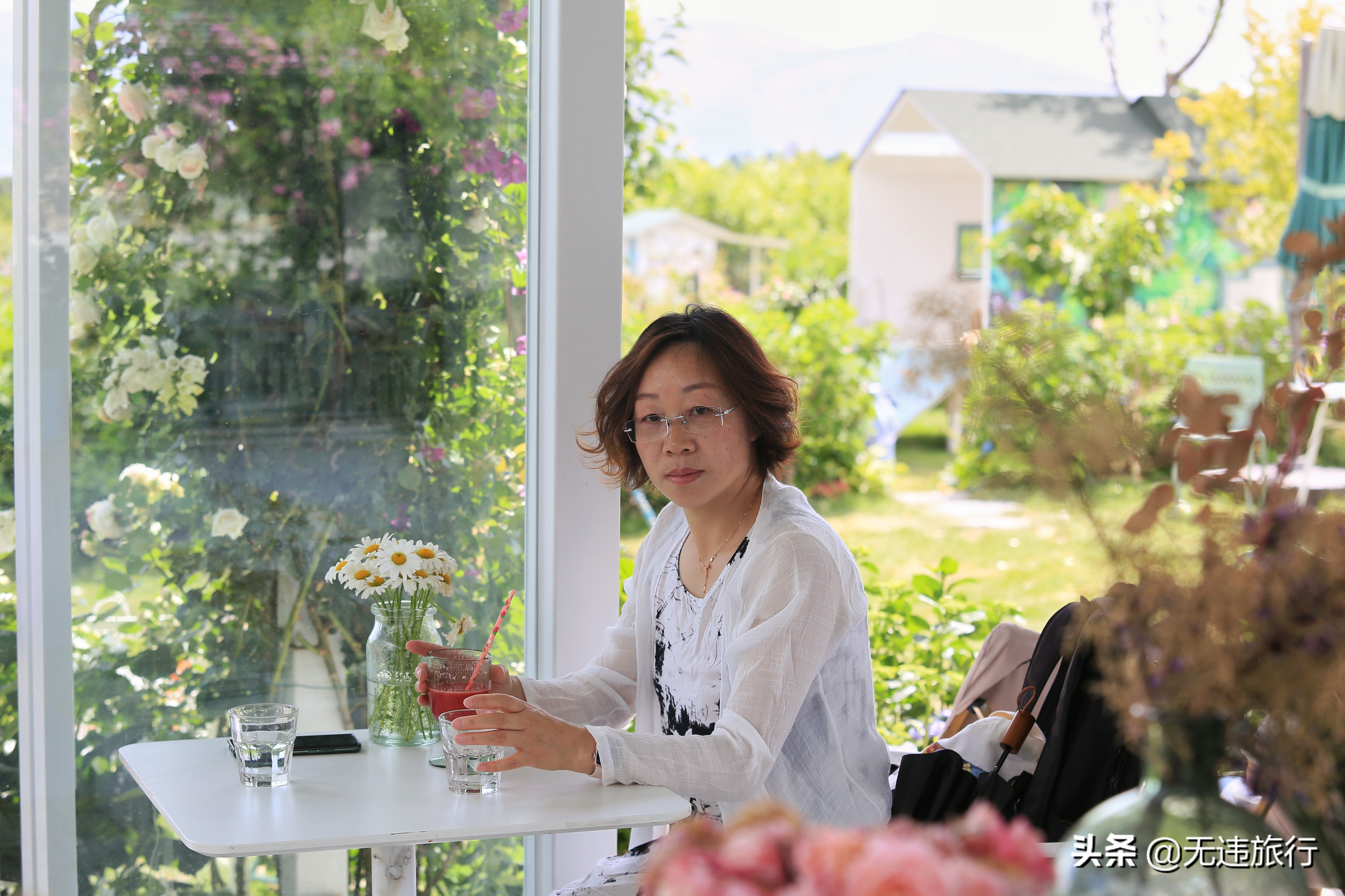 大理网红打卡地草场,大理网红打卡地猫米花园