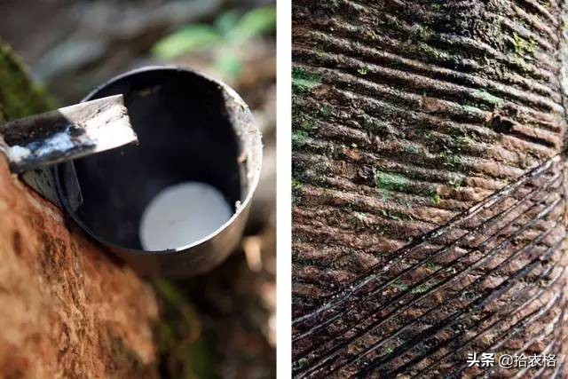 讲真，下一双小白鞋我会买它