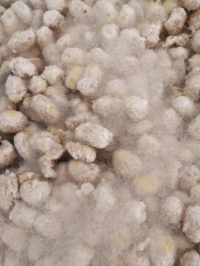 西瓜酱的制作全过程,制作西瓜酱的全过程