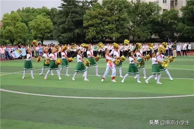 卓雅小学足球比赛,白云区第五届中小学生足球联赛