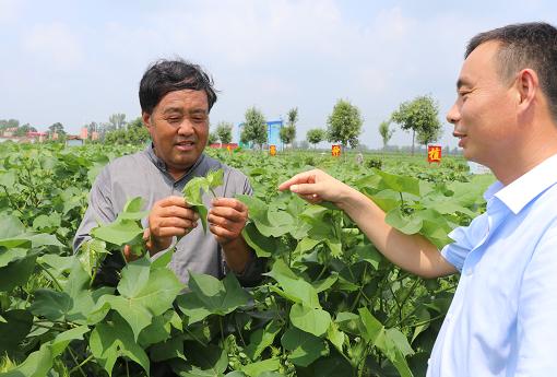 太康张永山最新视频,太康张永山图片