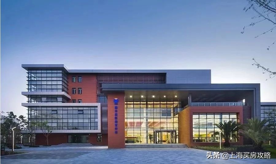 杨超越临港落户,锦鲤杨超越