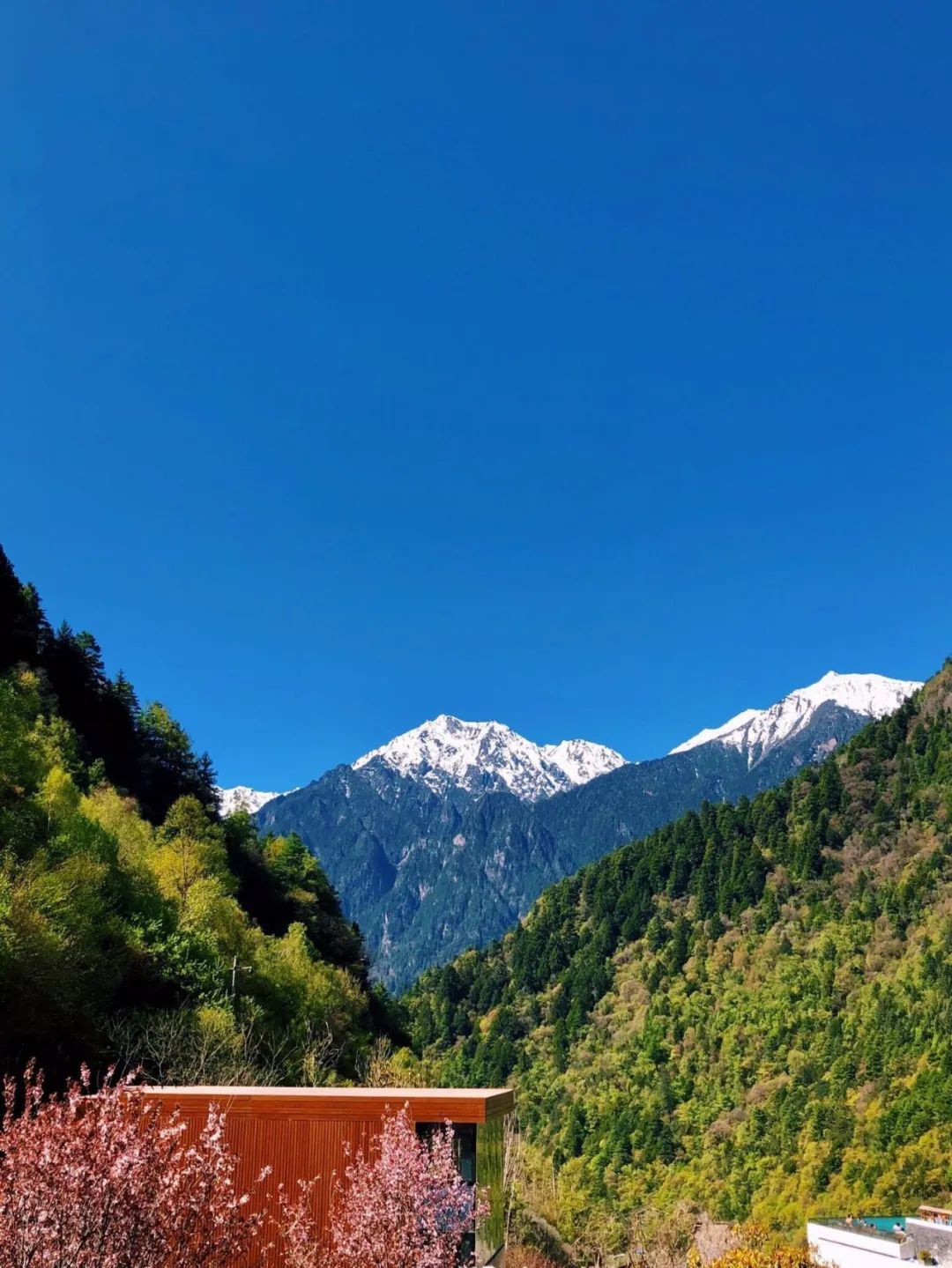 暑假来了！这个安全又宝藏的川西仙境，夏天只有15°