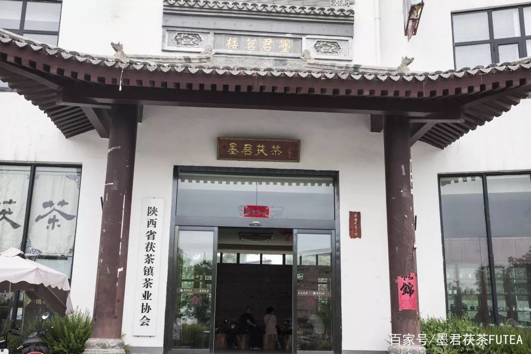 会友会景会茯茶品古品今品墨君|陕西巨鹰公司莅临金叶茯茶参观