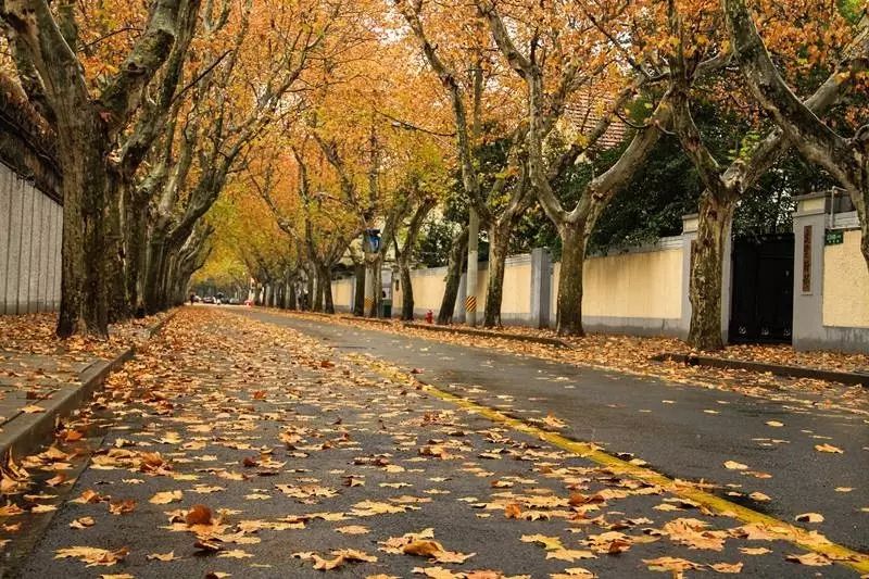 吐血整理！在上海你一定要知道这些