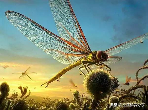 为什么吸氢气和吸氧气感觉不一样,为什么要吸氧空气中不是有氧气吗