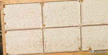 巢蜜里的黄色硬物能吃吗,巢蜜有虫子了还能吃吗