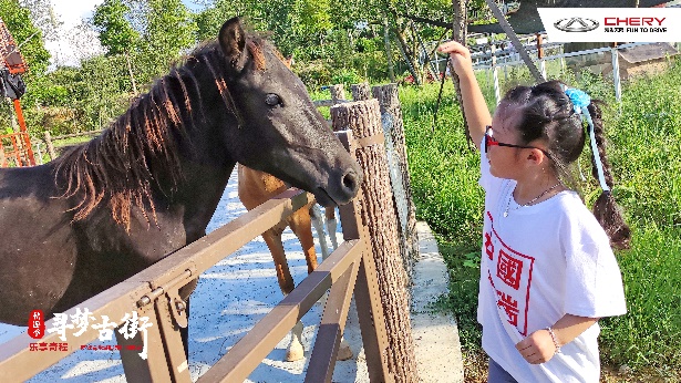 奇瑞车友聚会,奇瑞亲子嘉年华