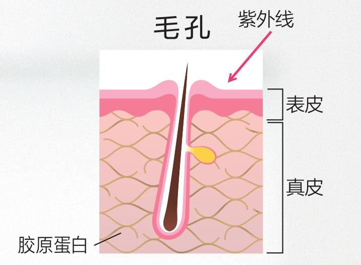 秦海璐晒到脱皮，陈伟霆晒成炭黑色，三角涂抹抗UV护理
