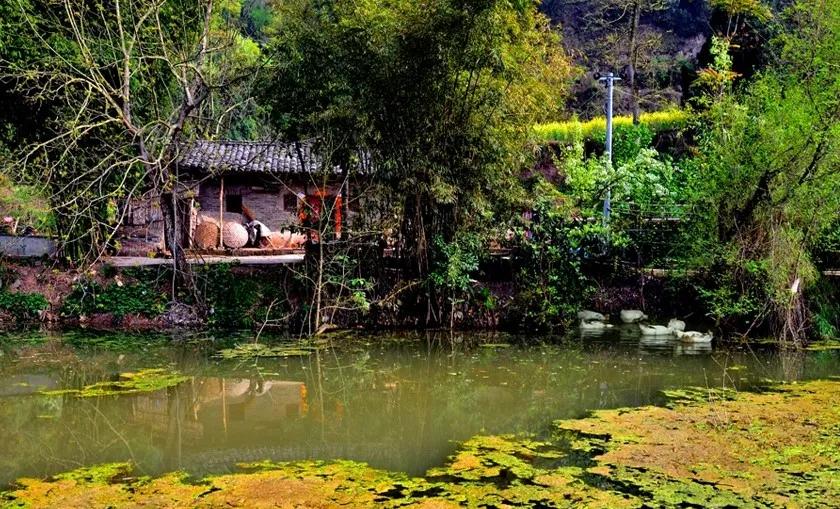 这里是遂宁,射洪介绍