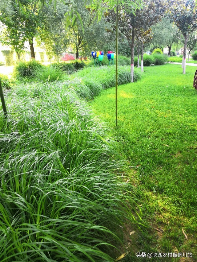 朱百强是谁,朱百强散文