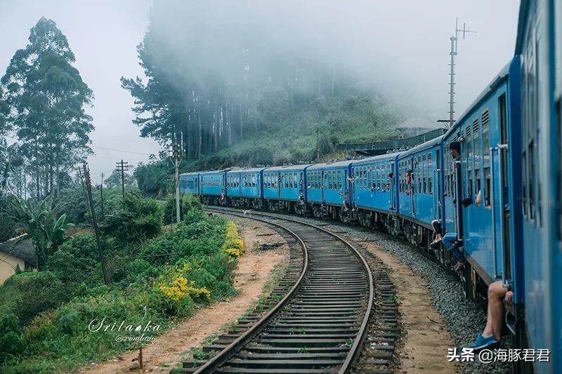 斯里兰卡最新购物攻略视频播放,斯里兰卡购物攻略和必买清单