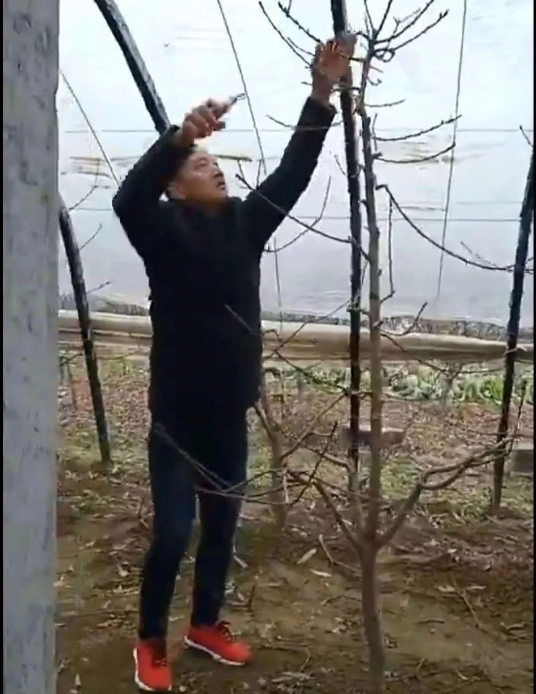 从退伍兵到群众贴心人,从退役军人到乡村致富领路人