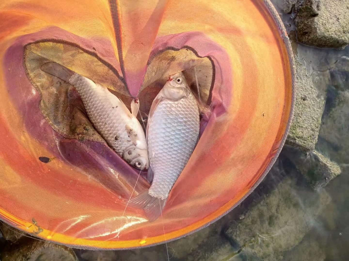 渔具线上和线下的区别,渔具在淘宝买还是京东买