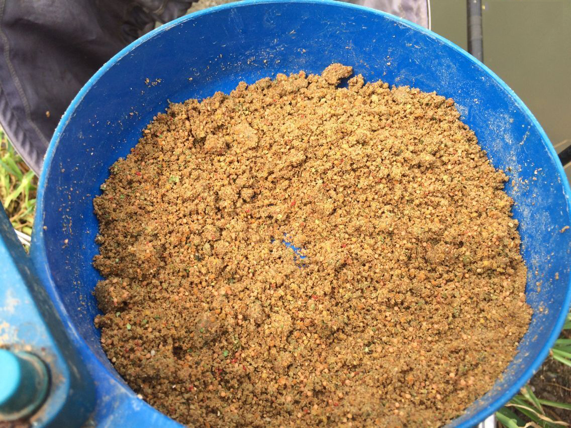 “小黄面”为什么风靡黑坑?它是一种怎样的钓饵,从四个方面探究