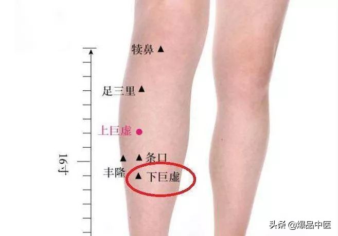 中医针灸睾丸坠痛特效穴,消除疼痛十大特效穴图解