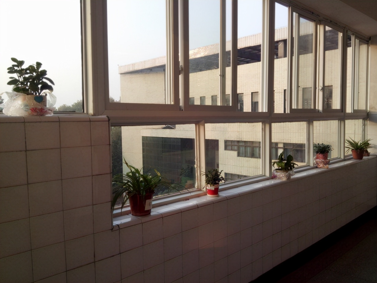 012我心中的班级文化