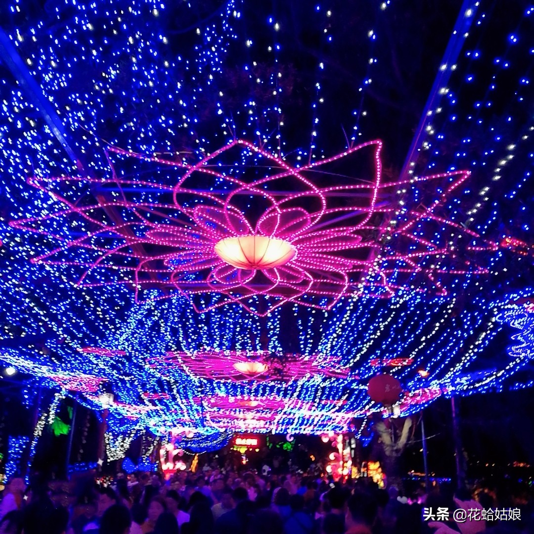 有苎萝西子之美誉的惠州西湖,是国家5*级A**旅游景区,静中带美