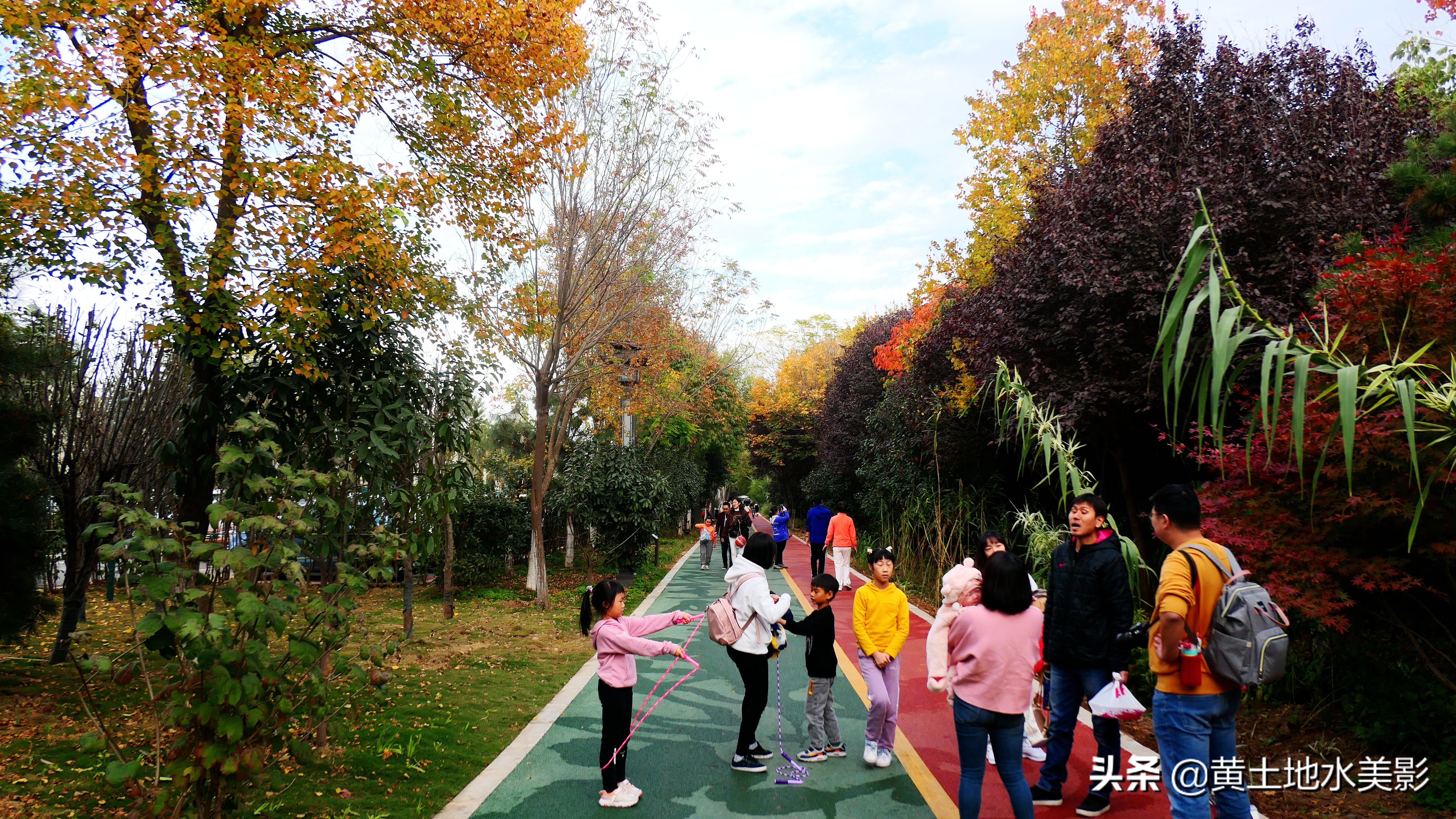 免费游玩东湖公园攻略,免费湿地公园游乐景点