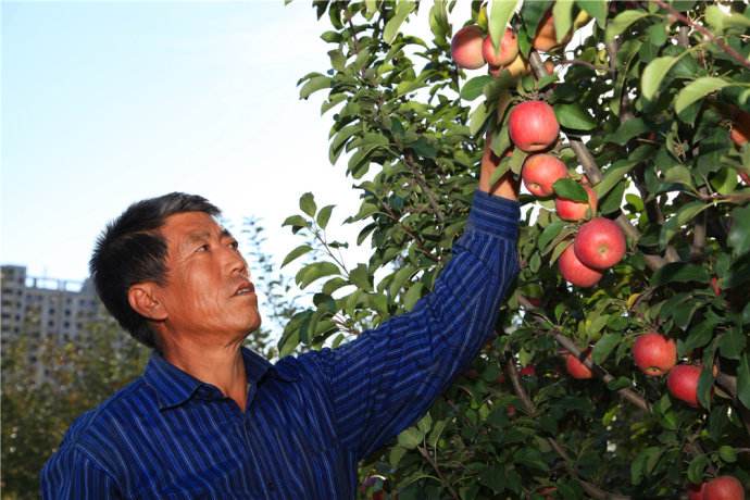 农村最近的山上有没有风景,乡村里都有一道特别迷人的风景