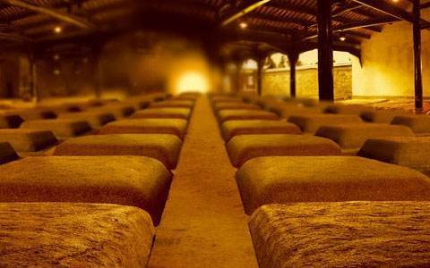 三大烧坊与茅台酒的关系,茅台镇三大烧坊酒现状