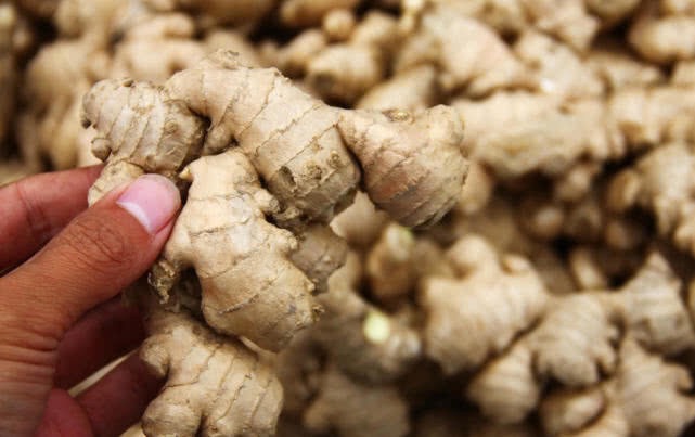 大姜高产技术施什么肥料,大姜育芽种植方法