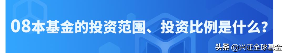 兴证全球优选稳健六个月持有债券,兴证全球恒惠30天持有期超短债c